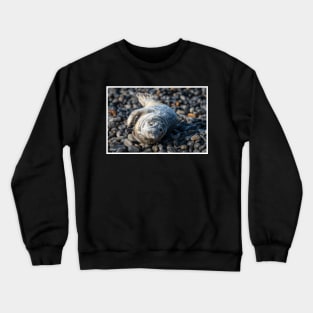 Seal Crewneck Sweatshirt